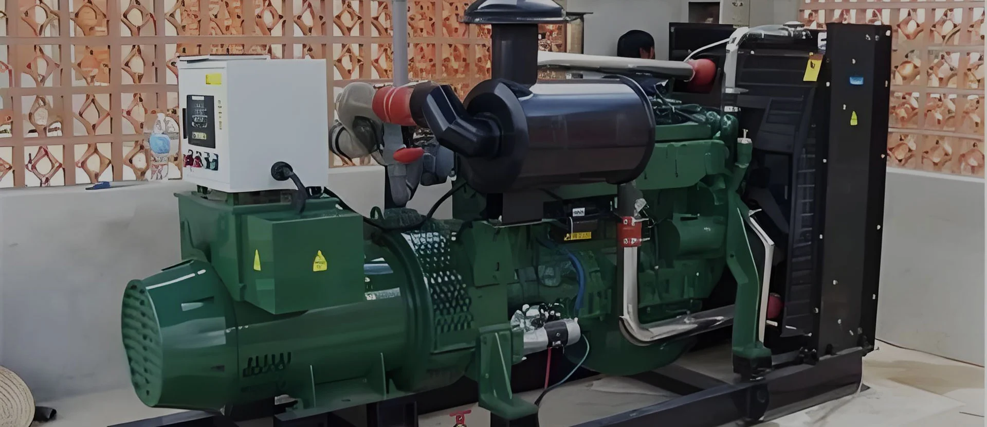 BIOGAS генераторының өндірушісі