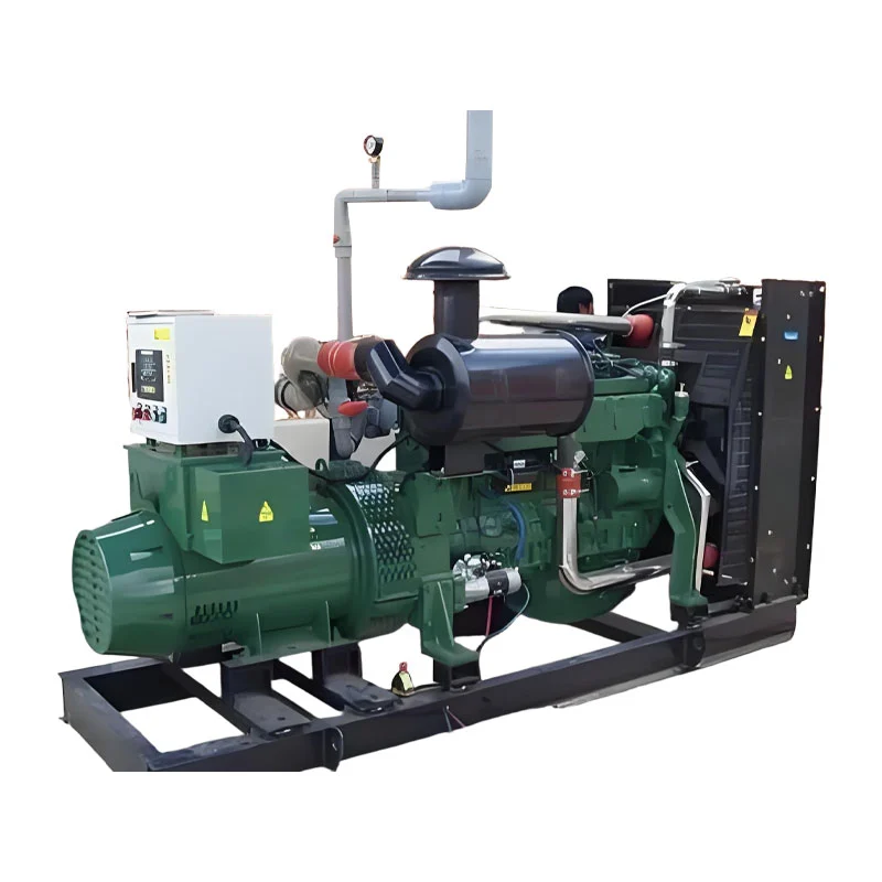 BIOGAS генераторы шошқа генераторы